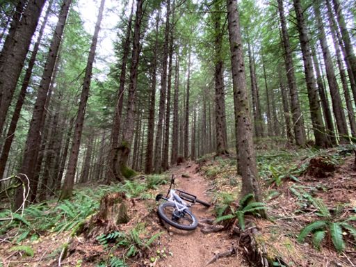 The dirt was primo. The tires were tacky. The stoke was high. My legs are tired now.