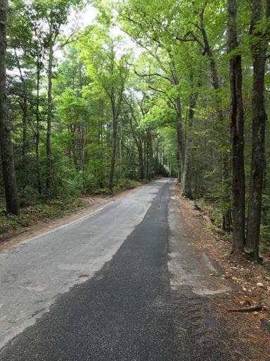 Scouting for the October Central Mass Brew Tour mixed terrain ride. The first 12 miles took 2 hours. Found some great trails, but others screamed “You shall not pass!” Of course, I did anyway, but they won’t be part of the final route.