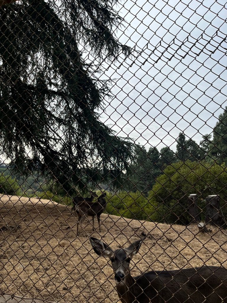 NBB run - Lake Hollywood: фото 151