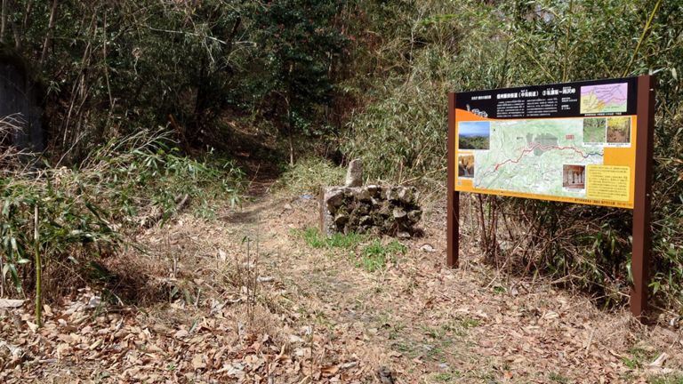 この道は今度グラベルライドで😆