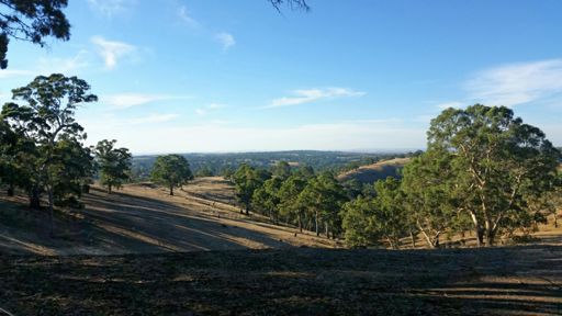 Views over Humbug Scrub and Sampson Flat from Hannaford Hump Rd