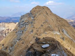 Rovio à monto Generoso