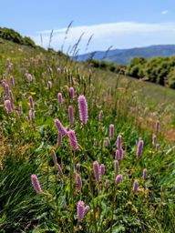 Crapahutage matinal dans les hautes vosges