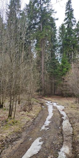 Вдоль Учинского вдх   немного адвенчи-хуенчи никогда ещё никому не вредило!