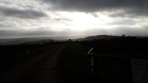 Sunshine trying to break through.