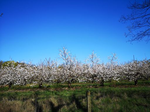 It's this time of the year, but still very cold.