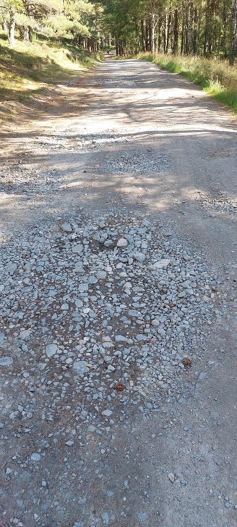 Then it got difficult for about 2 miles before beautifully smooth residential Tarmac.

We heard a steam train whilst in that delight wood out of Aviemore, and in the rough ground section, met Andy. Andy is a train driver and was the only non-electric mountain bike rider we had previously seen. He had passed us earlier, and we encountered him waiting by a fence - for a train, an old goods locomotive and its several carriages. 

We had also met a couple from Northumbria on their electric mountain bikes, who'd been riding this route - I think the Speyside Way - annually for 30 years. The lady said it had improved.

https://www.speysideway.org/route-sections-online-guide/