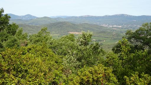 Vue Ste Baume - Cuers