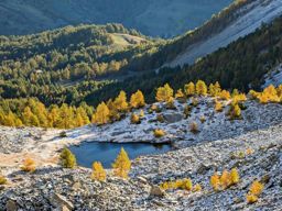 Tête de l’Estrop depuis la Foux d’Allos