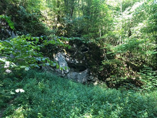 Wolfsgesicht im Felsen siesch es ?