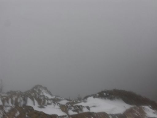 No view on Leconte today with the snow storm.