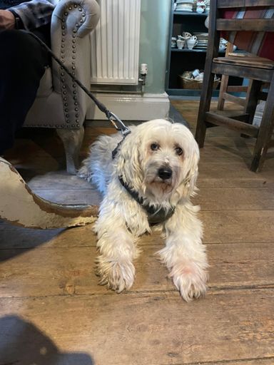 I know you have got sausage!