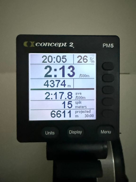 RowErg Z2 /81
