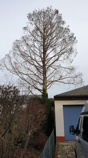 Koenigstein im Taunus_ID23774_UM_Am Eichkopf 7