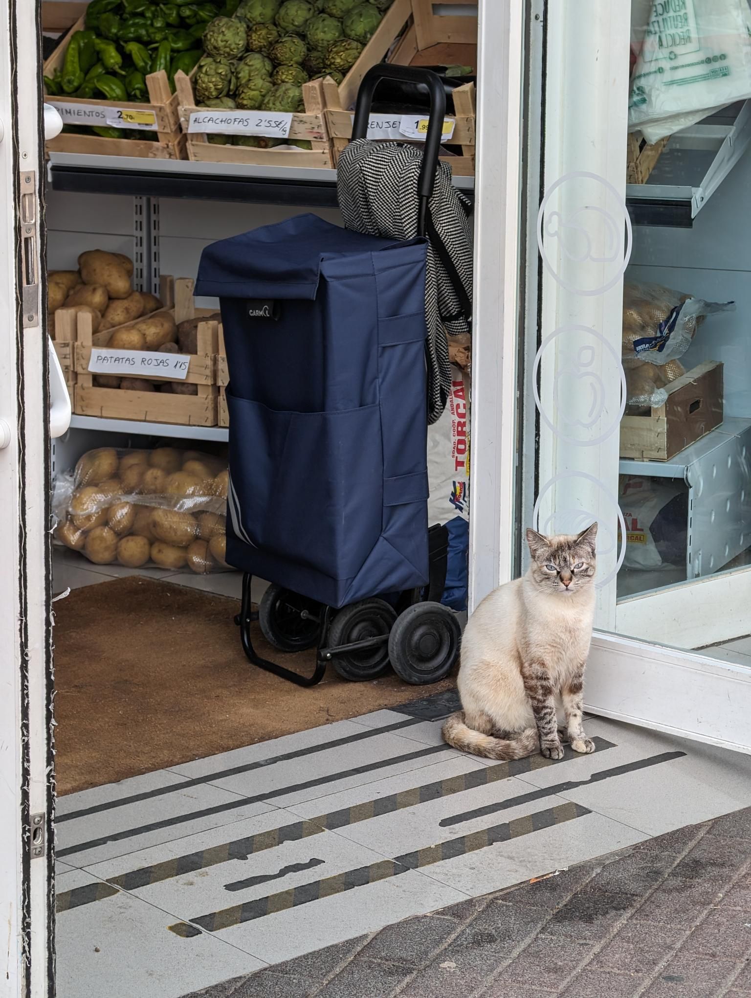 Andalusia Bike packing - Day 2 (part 1) photo 4