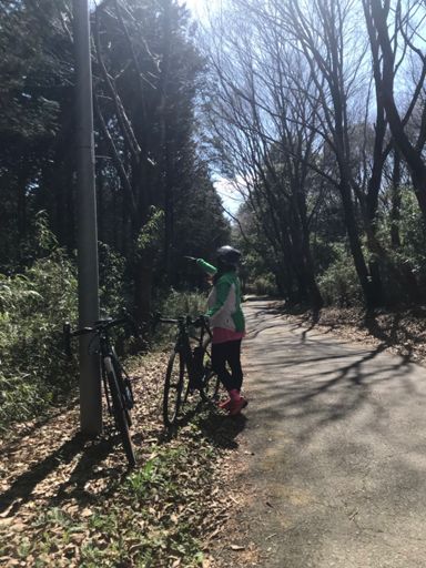 龍神山キャンプ場付近のお気に入り林道✨