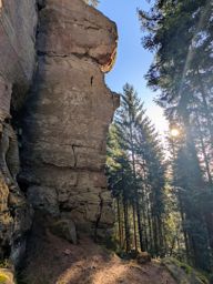 Tour dans forêt de Taintrux avant la séance d’escalade