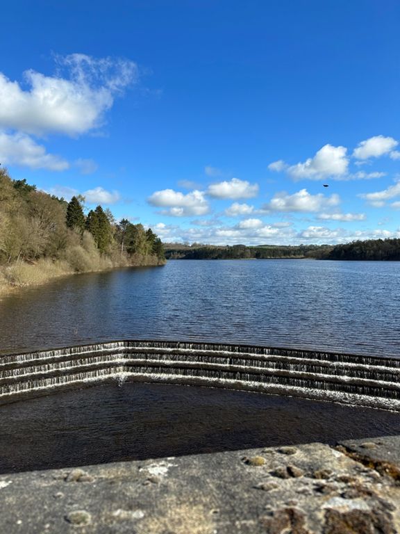Stainburn Forest to Denton Moor 33.9 km Cycling Route on Strava