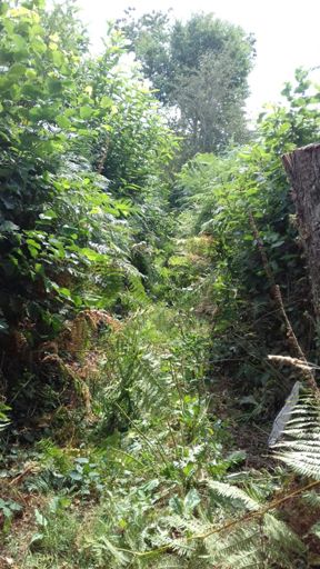 Aucun entretien à refuveille 😡