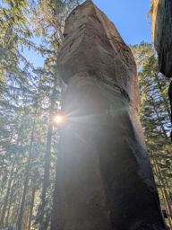 Tour dans forêt de Taintrux avant la séance d’escalade