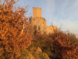 Falkenstein Ortenbourg