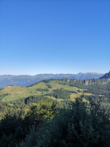 www.strava.com