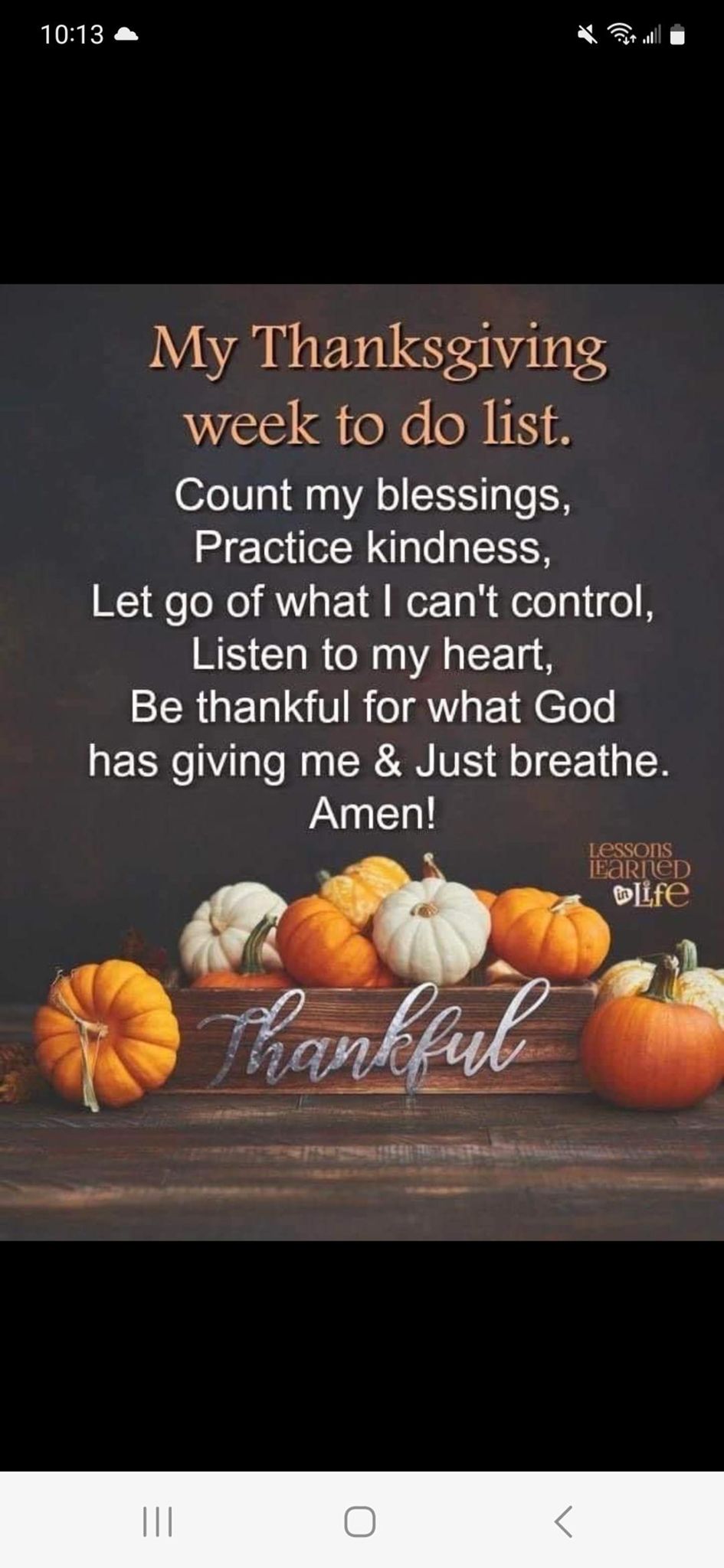 LORI FAUST Strava Runner Profile