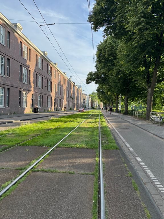 route-highlight