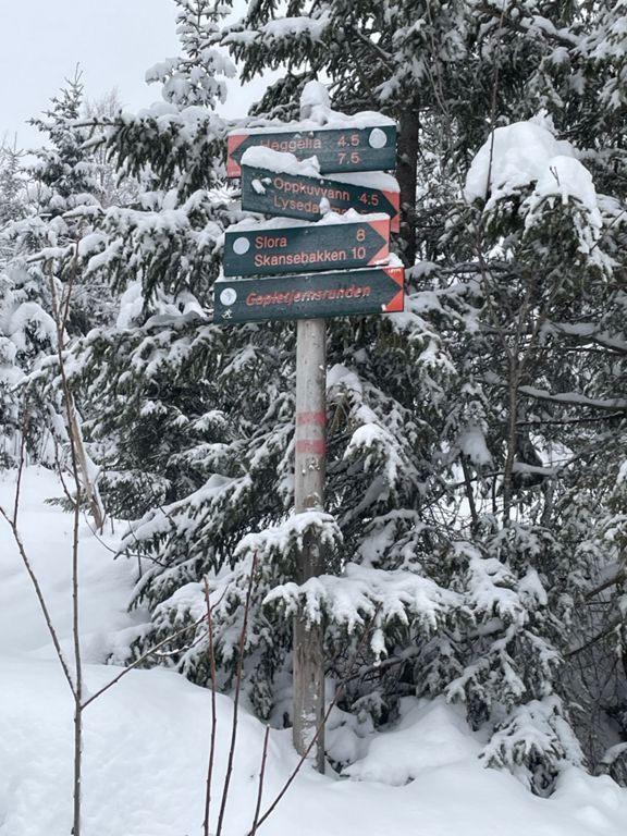 route-highlight