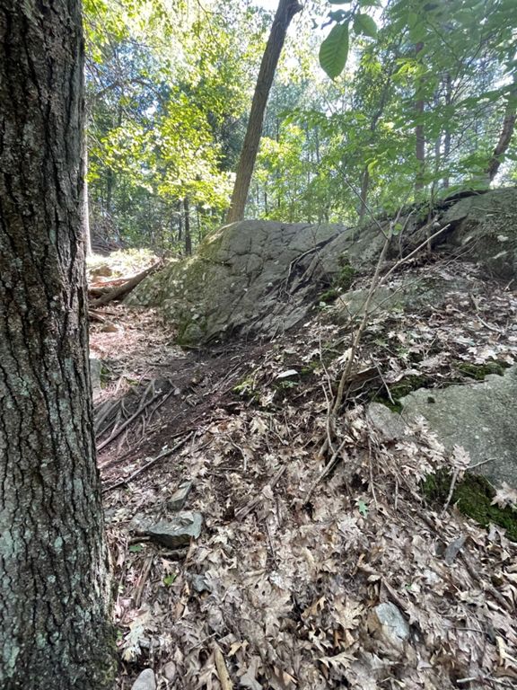 FellswayPlaystead RoadWashington Street 12.7 mi Running Route on Strava