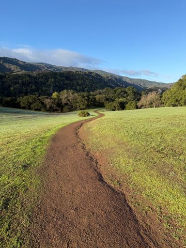 Everything is getting green again!!