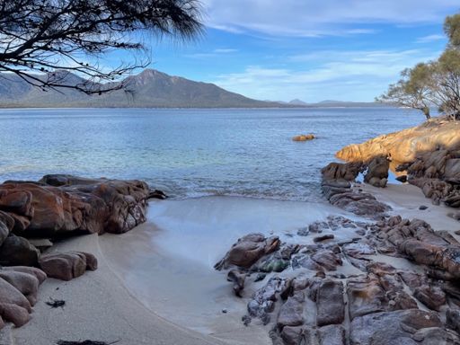A tiny beach for two?