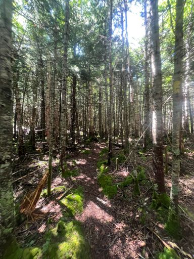 Scar trail !