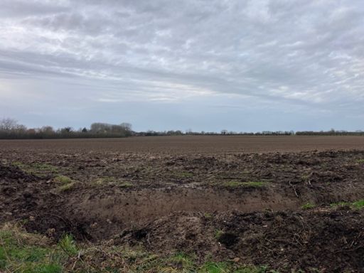 Amazing to be riding in shorts on 1st January. Beautiful.