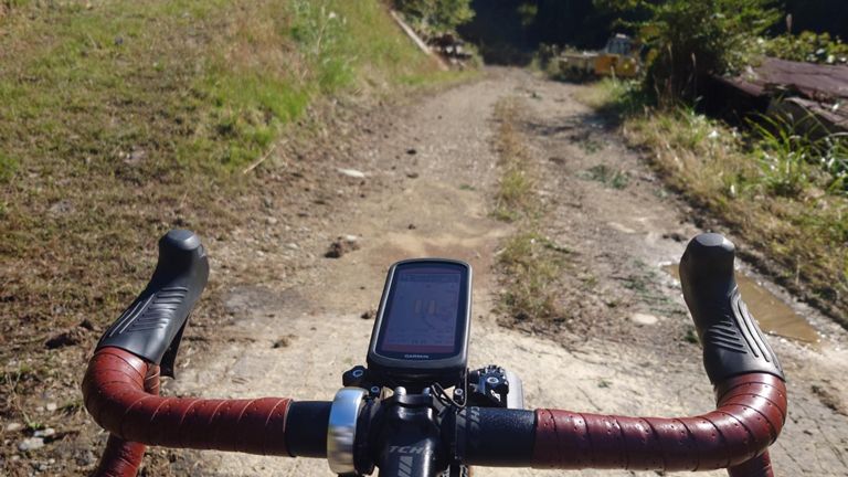 ダート散策、はじまります😁