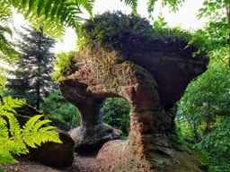 Marche autour de Haselbourg