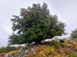 Aspremont Mont chauve avec ma soeur