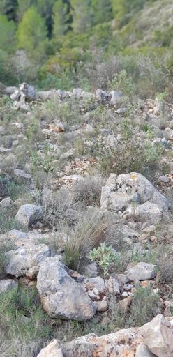 Da sollte ich runter...