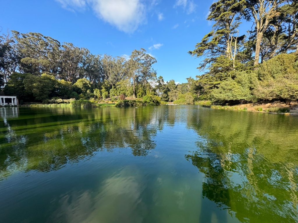 Butterlap (Presidio & Golden Gate Park) photo 133