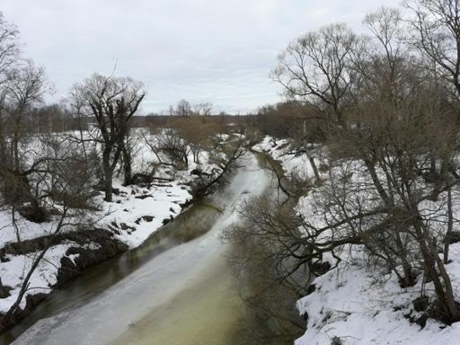 Грачи стали с опережением графика функционировать. Значит, весну включили на постоянной основе.