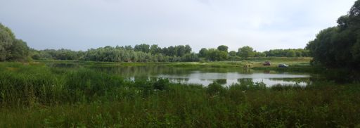 Пруд в Стебаево