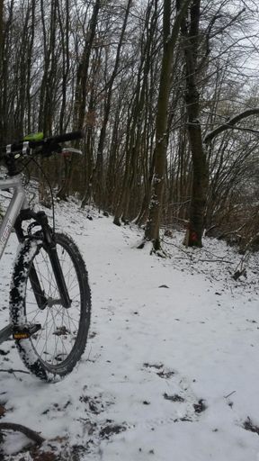 Trail Jugendherberge Sargenroth