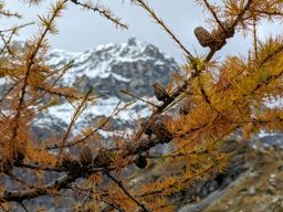 Le Luisin lac de Salanfe