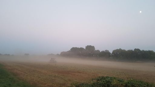 Maiserntemachine macht Nebel
