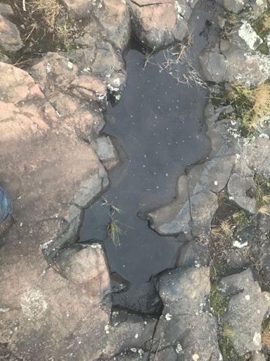 The tiny sketchy puddle on top of Higby