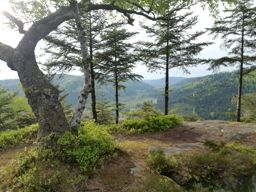 Run-visite des vestiges de la Pierre Piquee