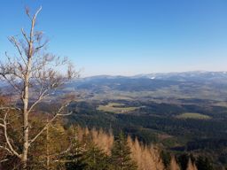 L’Ormont avec Fabien