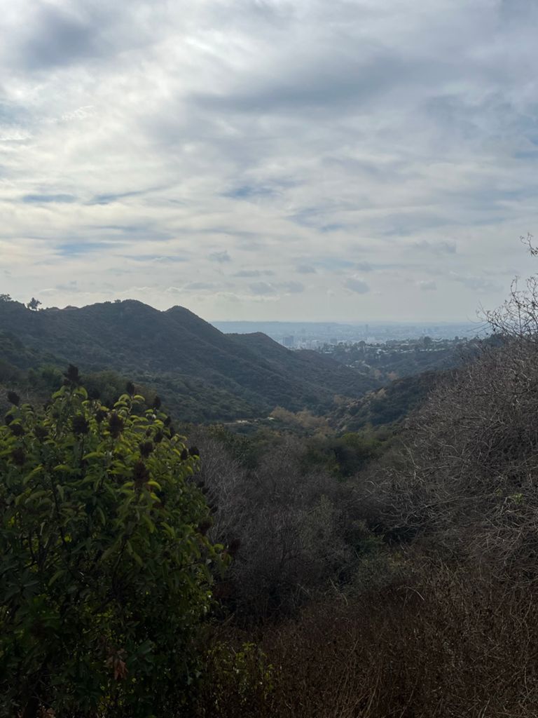 NBB run - Lake Hollywood photo 71