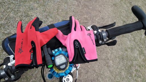 Коли вдома перчаток ну просто завались)