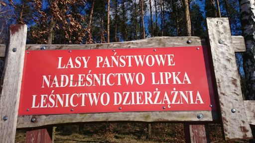 Dzierżążnia #słowonadziś